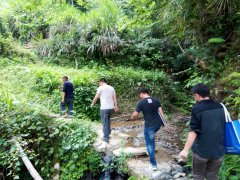 s1800�o�˙C(j��)+PPK���ģ�K�ڔ�(sh��)���֘I(y��)�Б�(y��ng)�ã�DOM/DEM�ɼ���