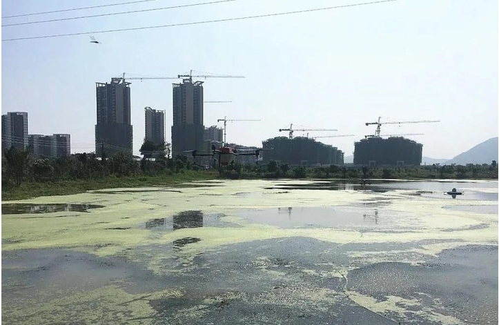 小龍蝦養(yǎng)殖場(chǎng)